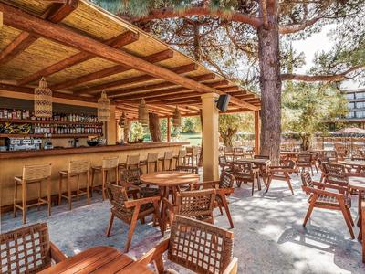 Bar all'aperto accogliente con mobili in legno e ombra naturale degli alberi in un contesto vacanziero.