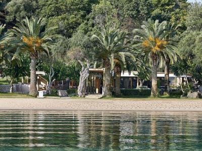 Strand met palmbomen voor een resort, kalm water op de voorgrond.
