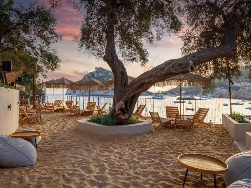 Strandlounge met zand, stoelen, een grote boom en parasols aan zee bij zonsondergang.