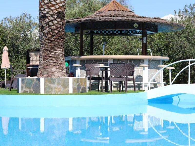 Schwimmbecken vor einer runden Bar mit Stühlen, Palmen und grünem Pflanzenhintergrund.