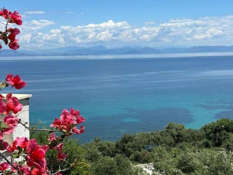 Blick auf das blaue Meer mit grünem Buschwerk und roten Blumen im Vordergrund unter klarem Himmel.