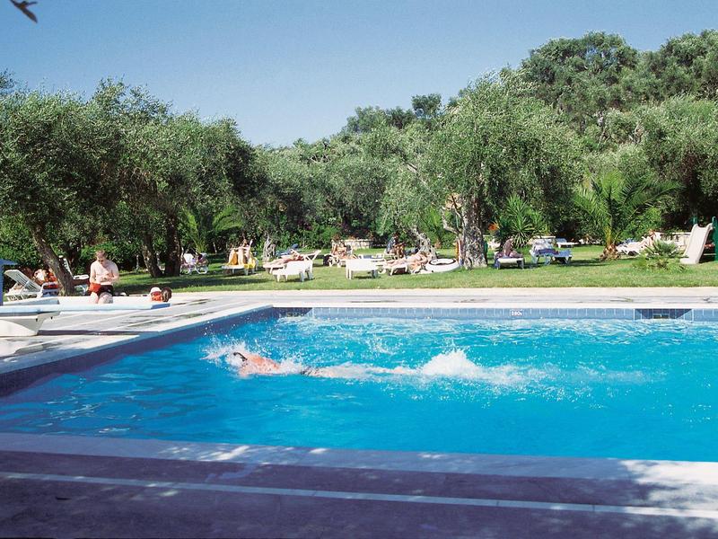 Large pool with swimmers and sun loungers among olive trees in sunny outdoor setting.