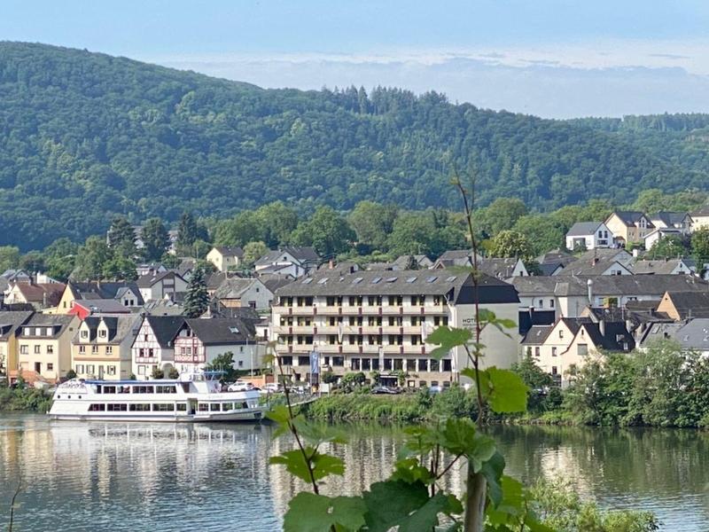 Fluss mit weißem Passagierschiff, Häuserreihe und bewaldete Hügel im Hintergrund bei klarem Himmel.