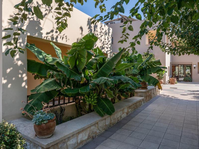 Patio con parterre de plantas y sombra de árboles junto a edificio de hotel moderno.