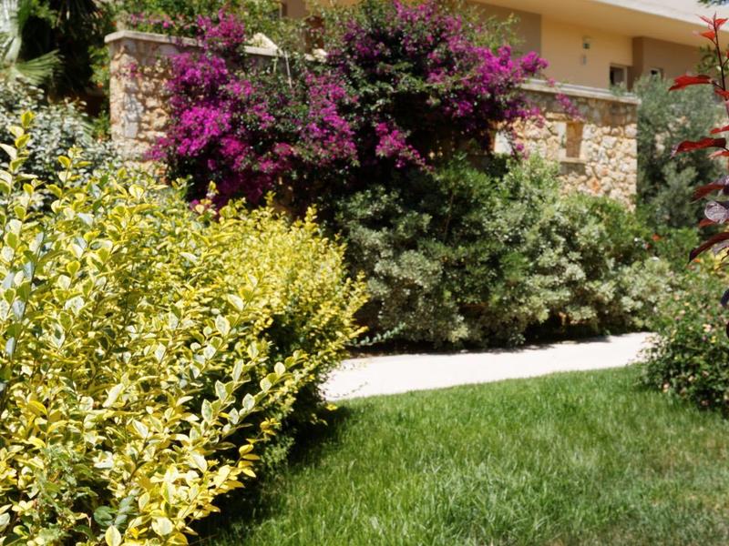 Edificio de hotel con jardín cuidado y flores coloridas bajo cielo azul claro.