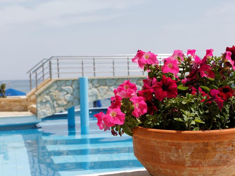 Maceta con flores florecientes cerca de una piscina azul con vista al mar y un puente al fondo.