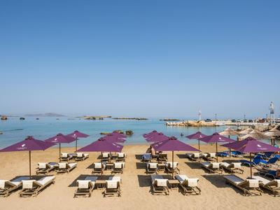 Beach with lounge chairs and purple umbrellas by calm sea under clear sky.