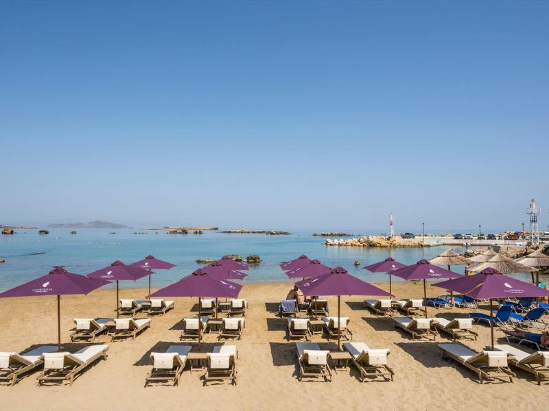 Beach with lounge chairs and purple umbrellas by calm sea under clear sky.