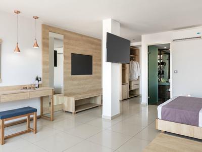 Modern hotelkamer met houten accenten, flatscreen-tv en raam met veel daglicht.