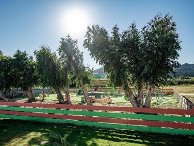 Groene tuin met meerdere bomen en een rood-groen houten hek onder een heldere hemel.