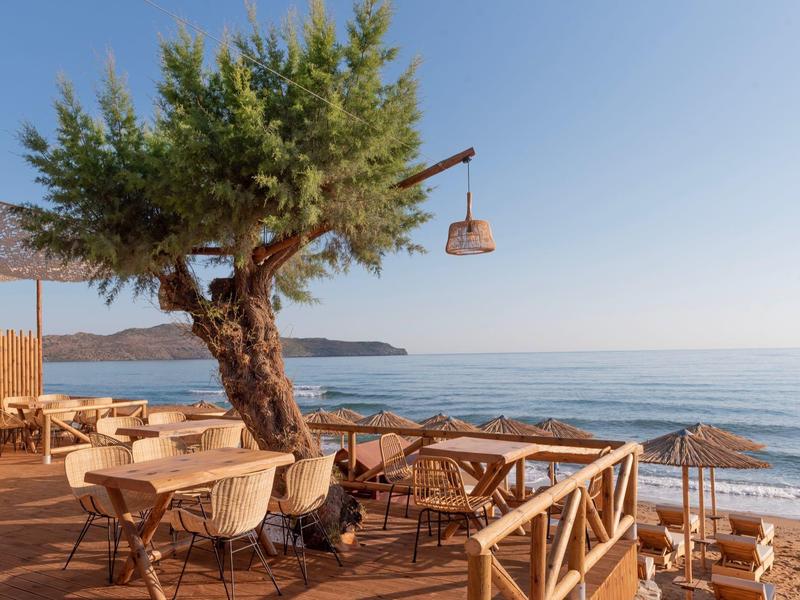 Terrace with wooden tables and chairs under a tree overlooking the sea on a clear day.