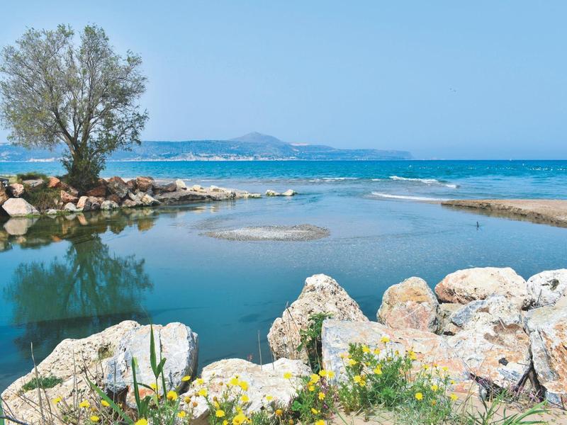 Klidné moře s kameny a malým stromem u písčitého břehu pod jasnou modrou oblohou.