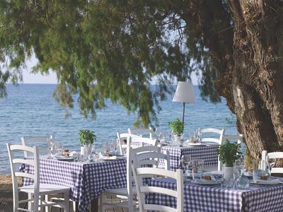 Restaurantterrasse am Meer mit blau-karierter Tischdecke und weißen Stühlen unter Bäumen.