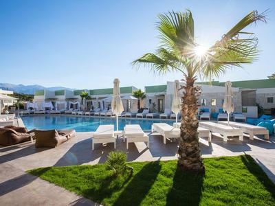 Moderne Poollandschaft mit Liegestühlen und einer Palme unter klarem Himmel.