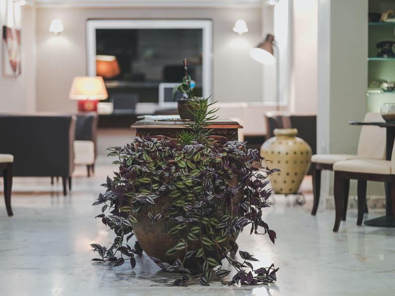 Grote bloemenpot met weelderige plant in moderne hotel lobby met stoelen en verlichting.