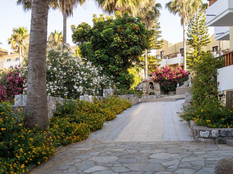 A quiet path surrounded by blooming plants and palm trees in a residential area.