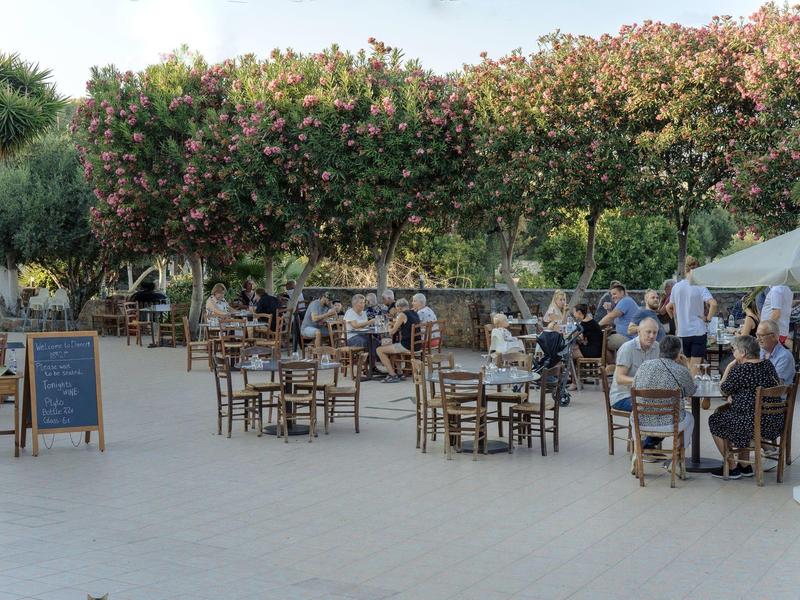 Outdoor café with wooden chairs and tables under blooming trees, guests sitting and chatting.