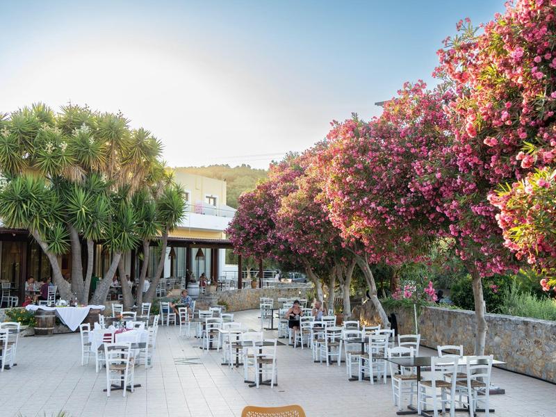 Empty hotel outdoor area with white tables and chairs surrounded by blooming trees.