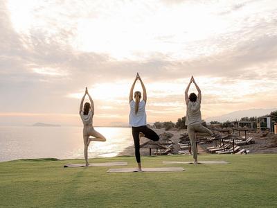 Drei Personen machen Yoga in der Baumhaltung auf einer Wiese mit Meerblick bei Sonnenuntergang.