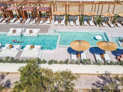 Blick auf einen modernen Hotelpool mit Sonnenliegen und Schirmen, umgeben von Grün.