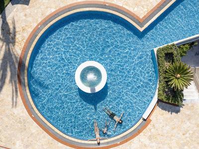 Une piscine en forme de cœur avec de l'eau bleue claire, entourée de pierres claires et d'un palmier.