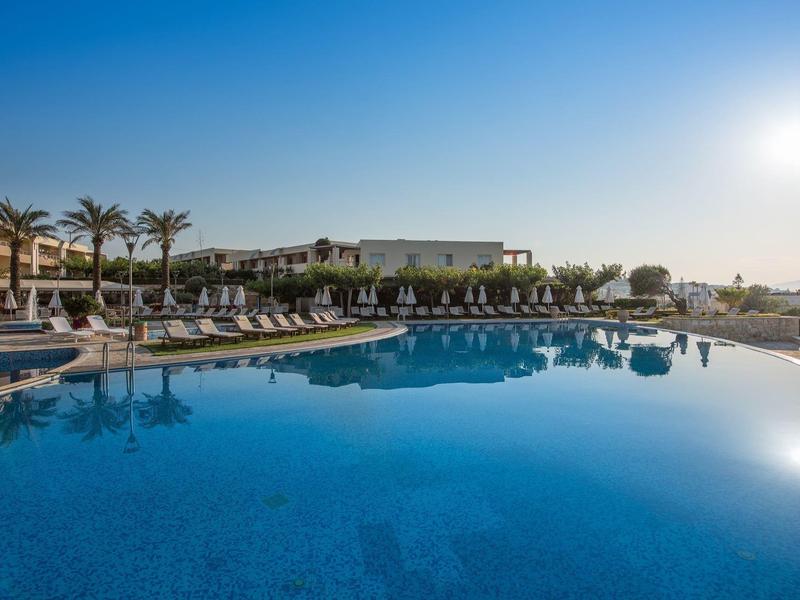 Large pool with lounge chairs and palm trees under clear sky and sunlight.