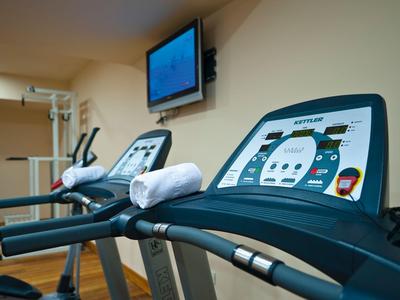 Moderner Fitnessraum mit Rudergeräten und Fitnessgeräten auf hellem Holzboden.