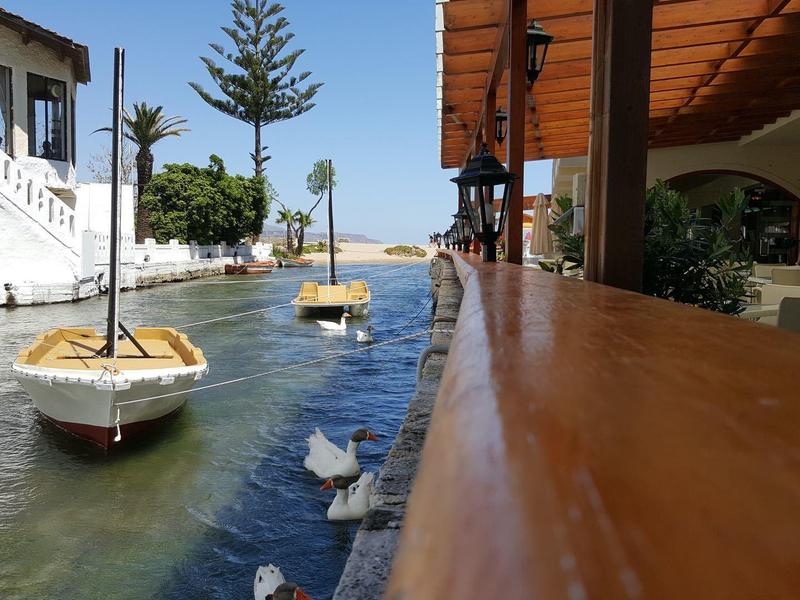 Maisons en bois le long d'un canal avec de petits bateaux et des canards nageant.