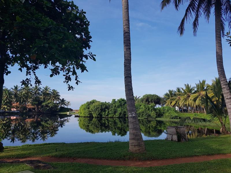 A calm lake surrounded by palm trees under a blue sky in a tropical hotel resort.