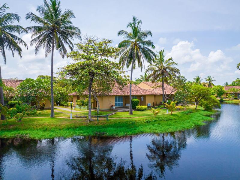 A tropical resort with bungalows by calm water and palm trees under a blue sky.