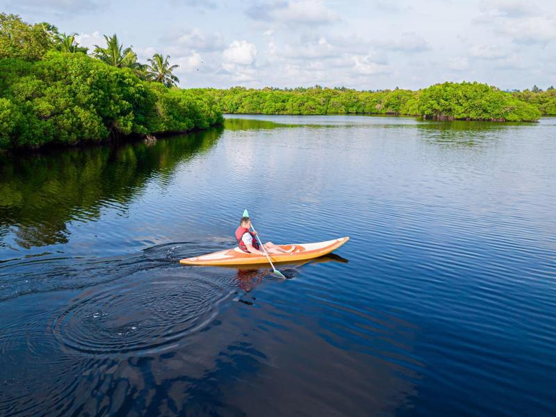 Person paddling alone in a kayak on calm water surrounded by green vegetation.