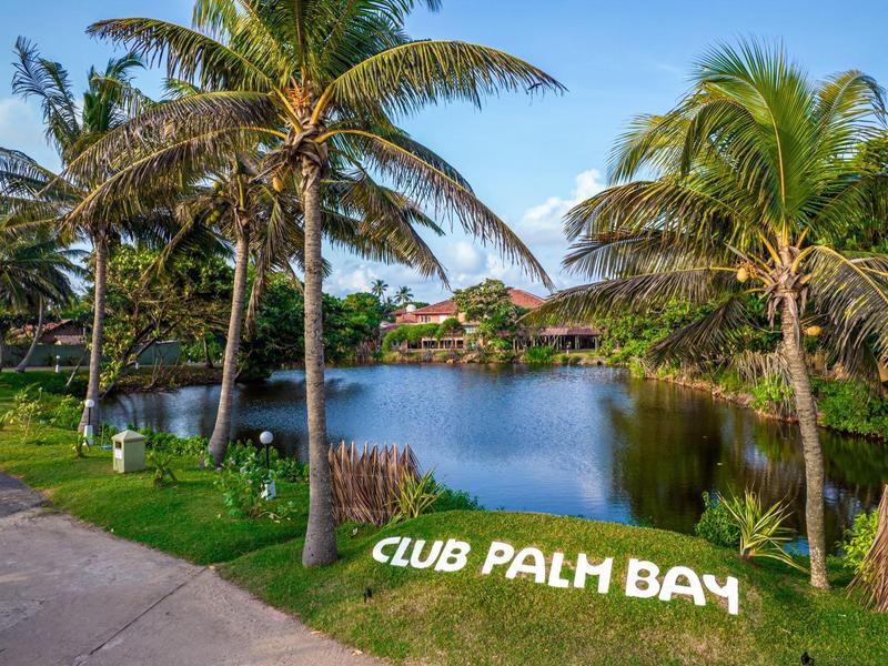 Idyllic hotel resort with palm trees and pond under a blue sky.