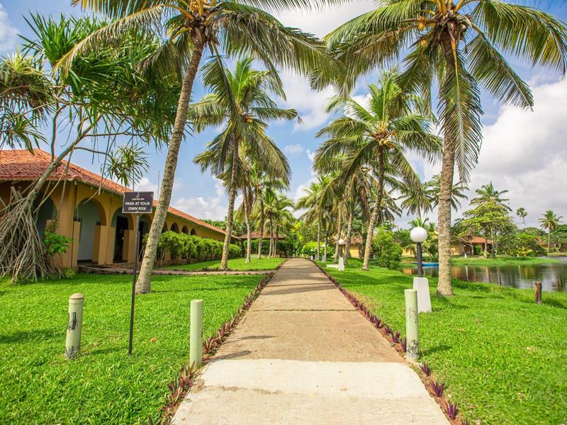 Path lined with palm trees leading to hotel buildings with lawn and pond under cloudy sky.