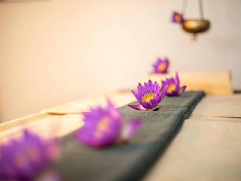 Close-up of purple lotus flowers on a table in a serene room.