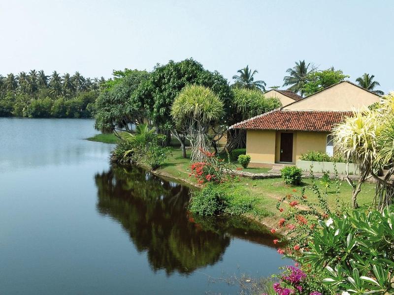 House on the bank of a calm river, surrounded by lush greenery and palm trees.