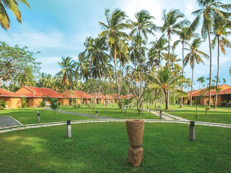 Green hotel garden with palm trees, pathways, and individual bungalows under a blue sky.