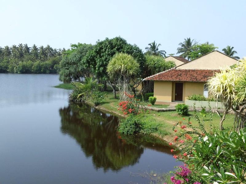 House beside calm river with green garden and palm trees in background.
