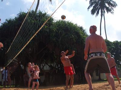 Menschen spielen Volleyball am Strand mit Palmen im Hintergrund bei sonnigem Wetter.