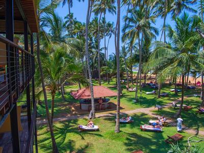 Ogród hotelowy z palmami, leżakami i widokiem na plażę w słoneczną pogodę