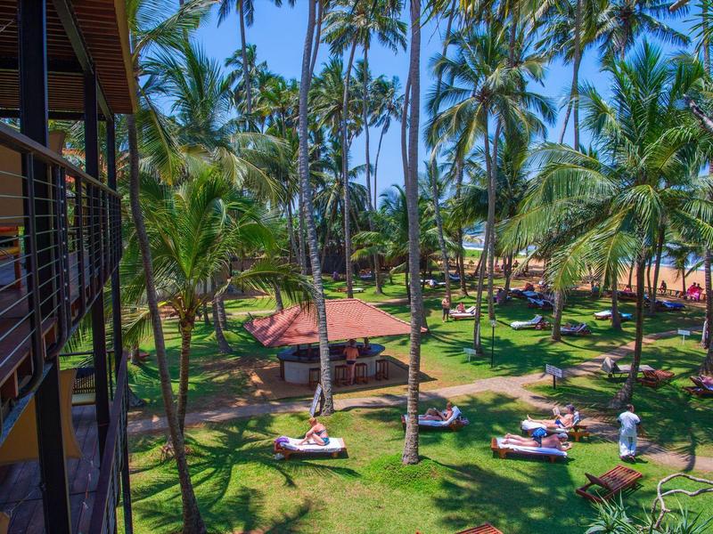 Ogród hotelowy z palmami, leżakami i widokiem na plażę w słoneczną pogodę