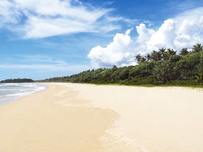Plage de sable vaste avec ciel clair et végétation dense en arrière-plan.