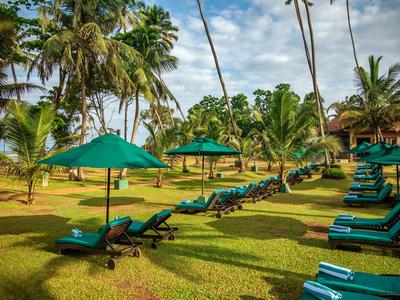 Groene ligstoelen met parasols op een grasveld tussen palmbomen onder een heldere lucht.