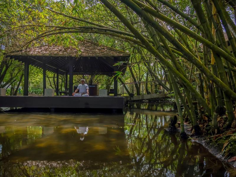 Zastřešená terasa u vody obklopená zelenými stromy a bambusem v tropickém prostředí.