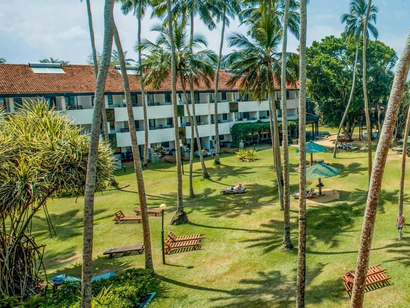 Hotelový areál s vysokými palmami, zeleným trávníkem a lehátky pod modrou oblohou.