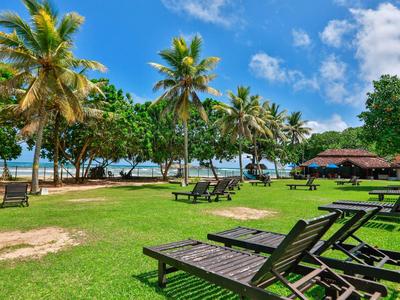 Grüner Rasen mit Liegestühlen, Palmen und blauem Himmel am tropischen Strand.