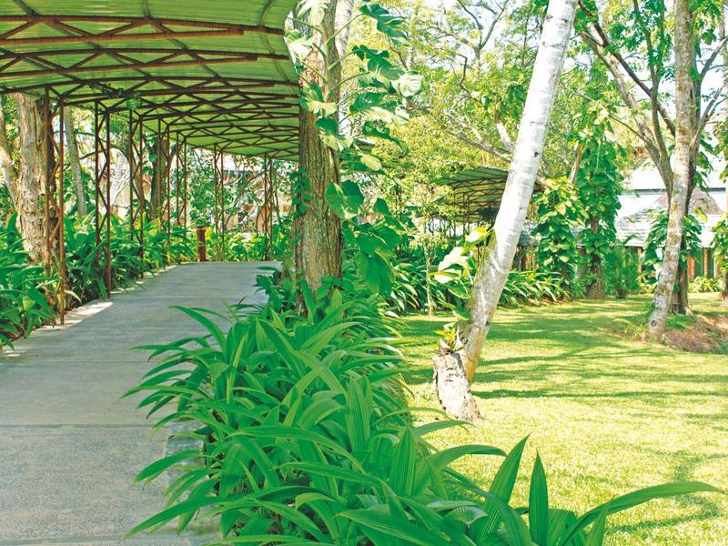 Offener, gemütlicher Sitzbereich mit Holzdach, großen Fenstern und Rattanstühlen in natürlicher Farbe.