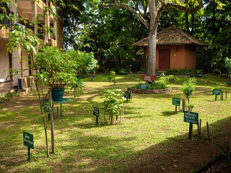 Grüner Garten mit kleinen Pflanzen, beschrifteten Schildern und zwei Gebäuden im Hintergrund.