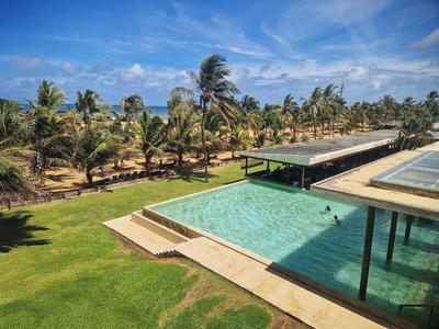 Großer Pool mit umliegendem Rasen und Palmen unter blauem Himmel