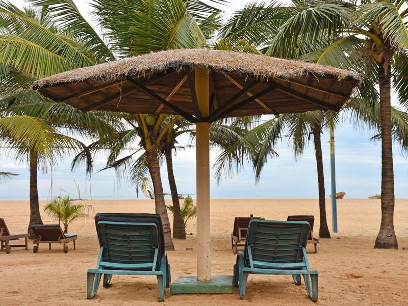 Two lounge chairs under a thatched roof on a beach with palm trees in the background.