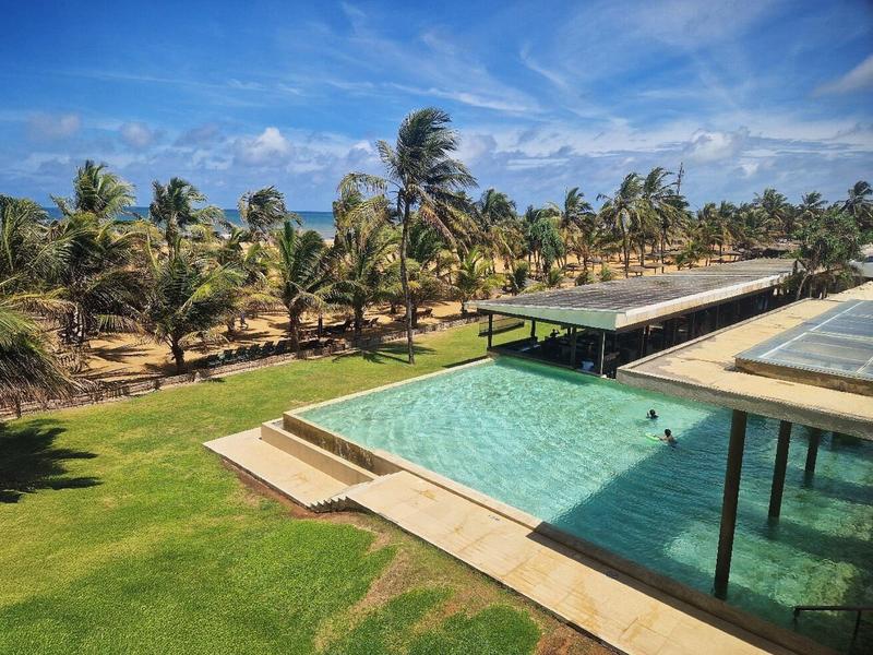 Large pool with surrounding lawn and palm trees under a blue sky